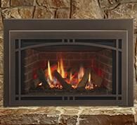 Stock Image - Majestic Gas Insert